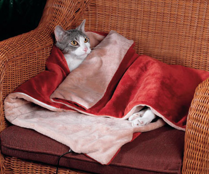 Heated Cat Blanket