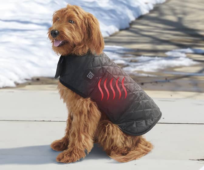 Heated Dog Vest