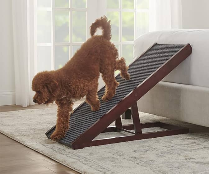 Height-Adjustable Foldaway Pet Ramp