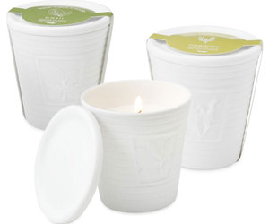 Herb Candles - Wild Mint, Basil and Rosemary Scents