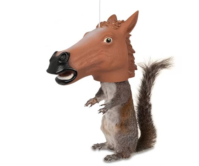Horse Head Mask Squirrel Feeder