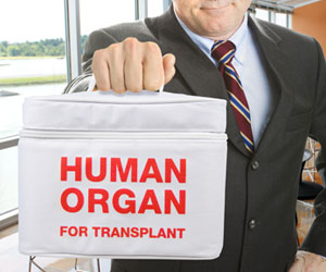 Human Organ For Transplant - Insulated Lunch Tote
