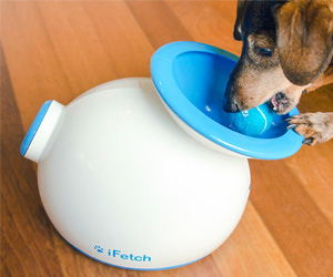 iFetch - Automatic Ball Launcher for Dogs