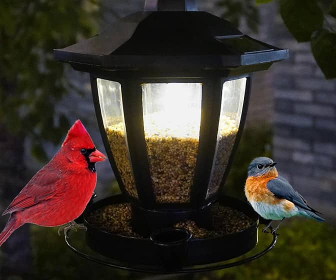 Illuminated Solar Coach Light Lantern Bird Feeder