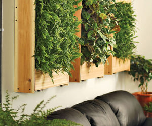 Indoor Living Wall Planters