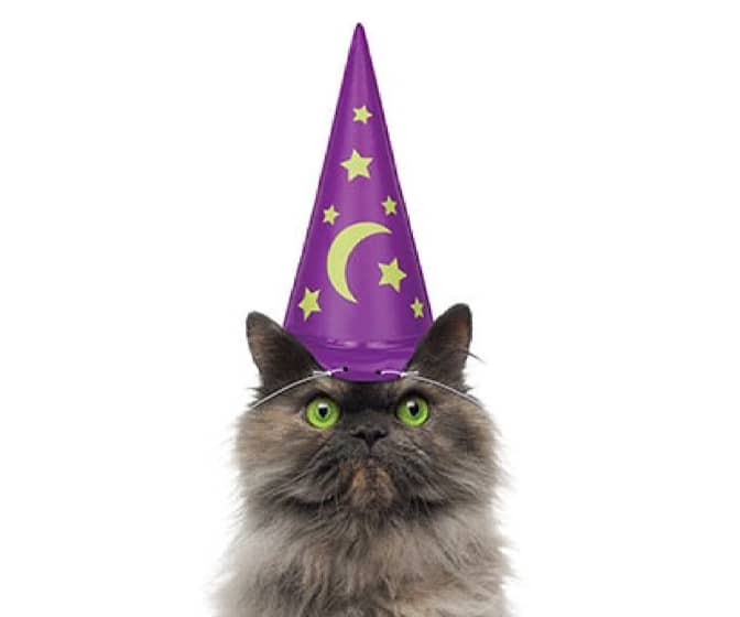 Inflatable Wizard Hat for Cats - Glows in the Dark!