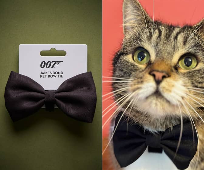 James Bond 007 Pet Bow Tie