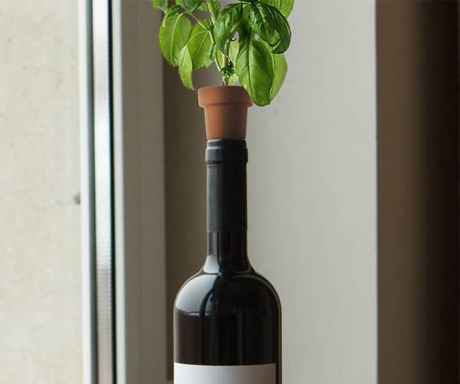 Self-Watering Wine Bottle Planter