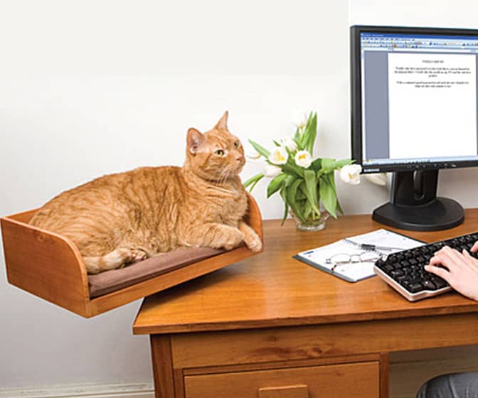 Kit-In Box - Desktop Cat Bed