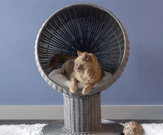 Kitty Ball Cat Bed