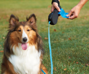 Kosoku Retractable Dog Leash With Built-In Bag Holder