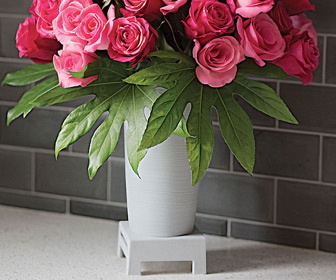 Kulvase - Life Extending Flower Vase