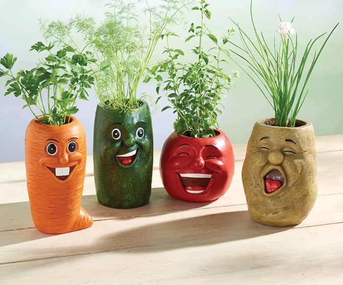 Laughing Veggie Herb Pots
