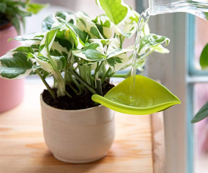 Leaflow - Leaf-Shaped Plant Watering Funnels