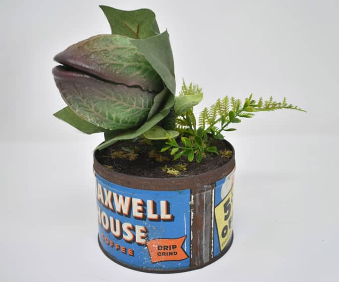 Little Shop Of Horrors - Baby Audrey II Prop Replica