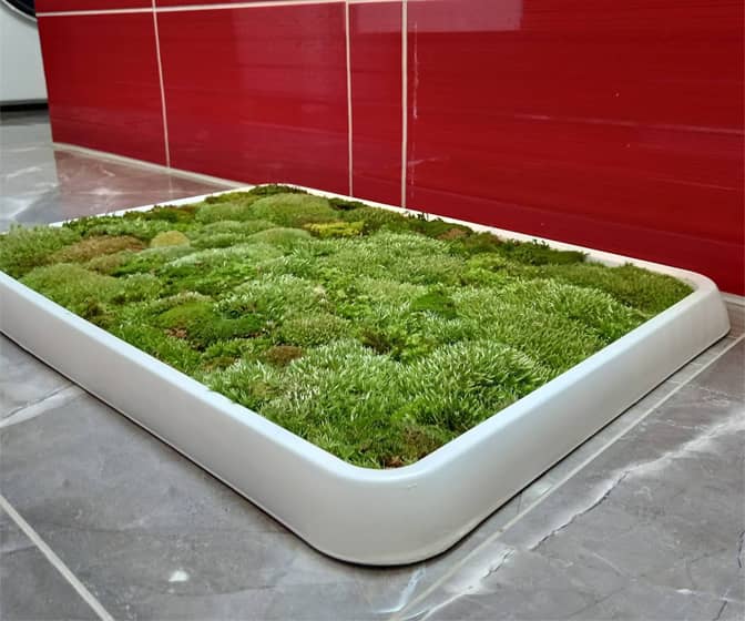 Live Green Moss Bath Mat