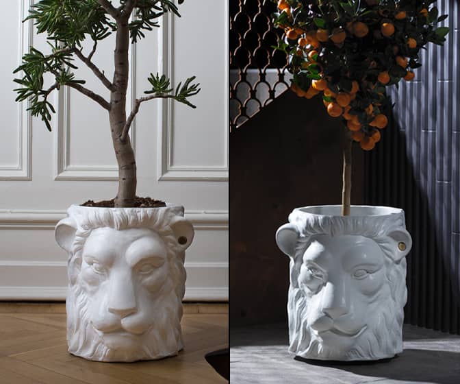 Majestic White Lion Planter Pot