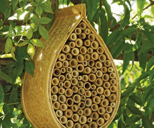 Mason Bee House - Attract Nature's Best Non-Stinging Pollinators To Your Garden