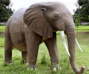 Massive Backyard Elephant Statue