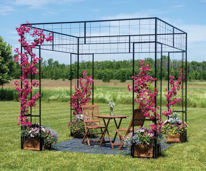 Massive Gazebo Trellis for Flowering Vines and Climbing Plants