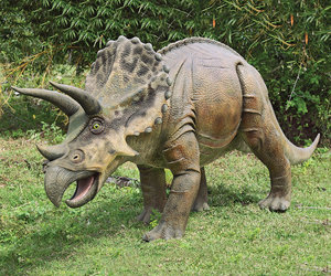 Massive Triceratops Dinosaur Statue