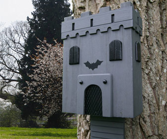 Medieval Bat Castle