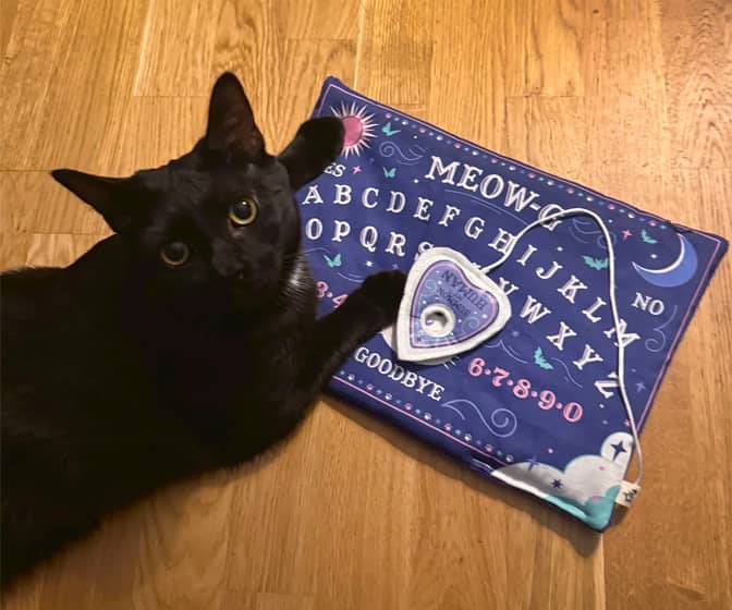 MEOW-G - Spirit Board Mat for Cats with Catnip-Filled Planchette