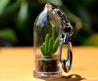 Mini Cactus Terrarium Keychains