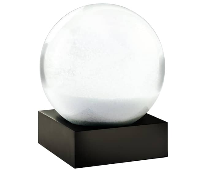 Flat Earth Snow Globe