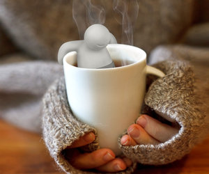 Blomus Teastick - Modern Tea Infuser Brews Single Cup of Tea