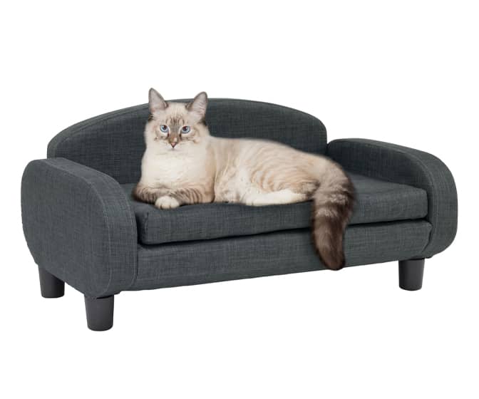 Modern Mini Elevated Cat Sofa