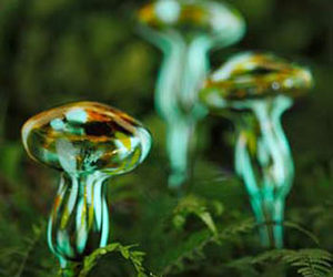 Moonlight Mushrooms - Glow-in-the-Dark Watering Spikes