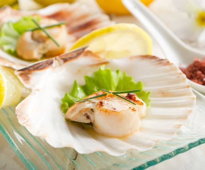 Natural Baking Seashells - Bake and Serve Right in the Shell