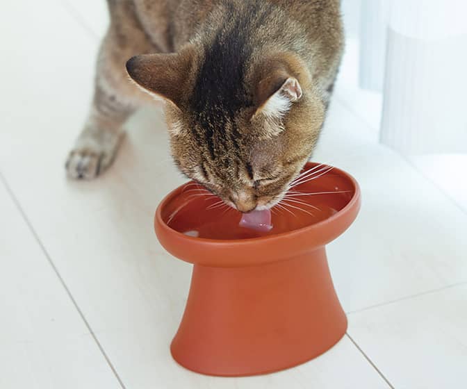 OPPO TokoBowl - Elevated, Whisker-Friendly Cat Water Bowl