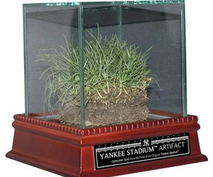 Original Yankee Stadium Freeze-Dried Grass