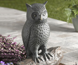 Owl Outdoor Bluetooth Speaker