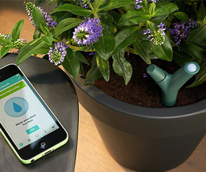 Parrot Flower Power - App-Controlled Smart Plant Monitor