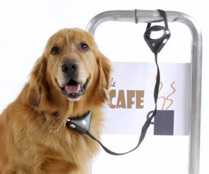 PAWZ Safespot Locking Dog Leash