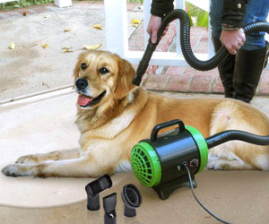 Pet Styling System