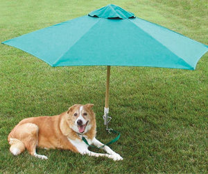 PetBrella - Pet Umbrella & Tie-Out Stake