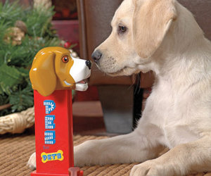 PEZ Dog Treat Dispenser
