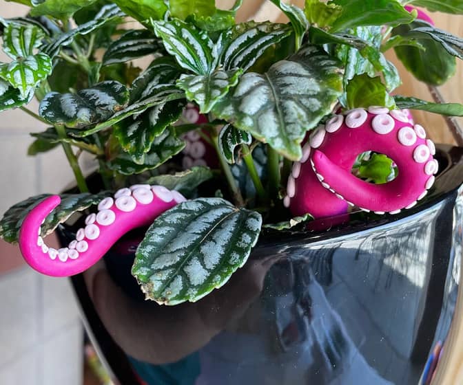 Plant Monsters - Creepy Tentacles For Houseplants