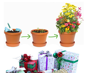 Plantable Wrapping Paper - Biodegradable Seeded Gift Wrap
