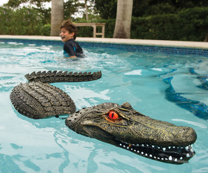 Pool Guarding Gator Decoy