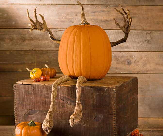 Posable Pumpkin Vine Arms and Legs