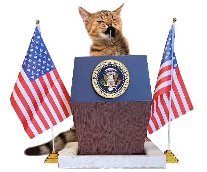 Presidential Podium Cat Scratcher