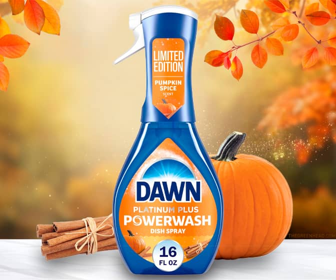 Pumpkin Spice-Scented Dawn Powerwash Dish Soap Spray