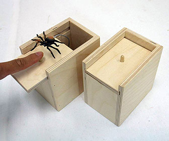Scare Box Spider Prank