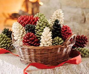 Scented Wax Pine Cone Fire Starters