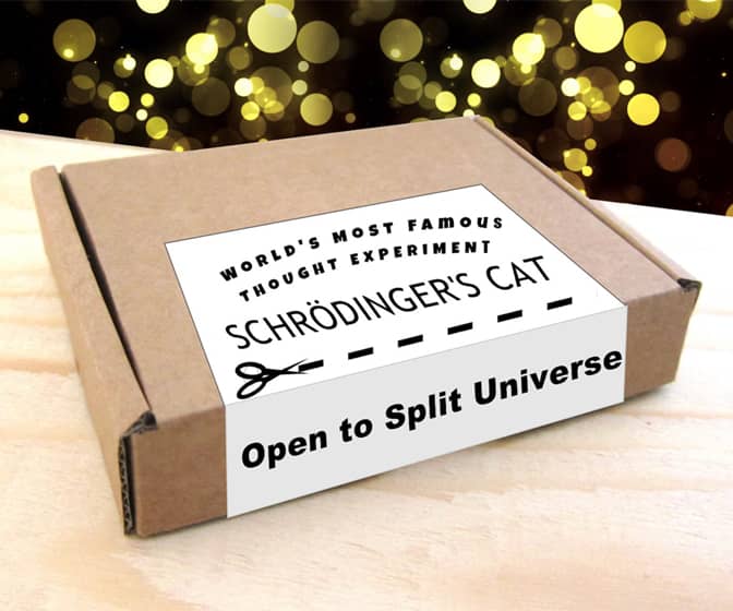 Schrodinger's Cat In A Box Thought Experiment